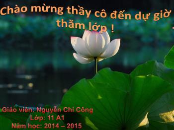 Bài giảng Đại số 11 - Chương V, Bài 2: Quy tắc tính đạo hàm - Năm học 2014-2015 - Nguyễn Chí Công
