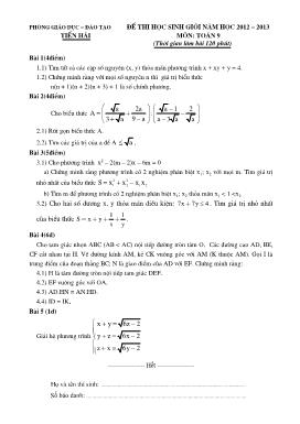 Đề thi học sinh giỏi môn Toán 9 - Năm học 2012-2013 - Tiền Hải