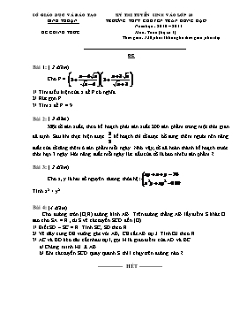 Đề thi tuyển sinh vào 10 Trường THPT Chuyên Trần Hưng Đạo - Năm học 2010-2011