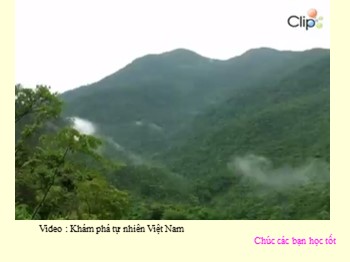 Giáo án Địa lý Lớp 8 - Bài 39: Đặc điểm của tự nhiên Việt Nam