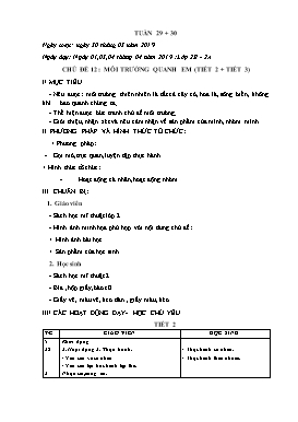 Giáo án dạy theo chủ đề Mỹ thuật Khối 2 - Tuần 29+30 - Năm học 2018-2019