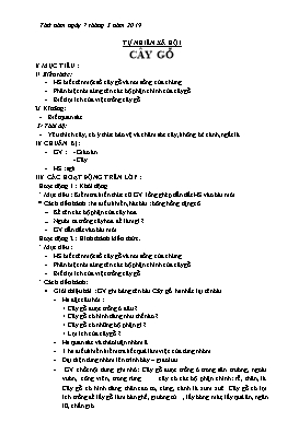 Giáo án Tự nhiên xã hội Lớp 1 - Bài: Cây gỗ - Năm học 2018-2019