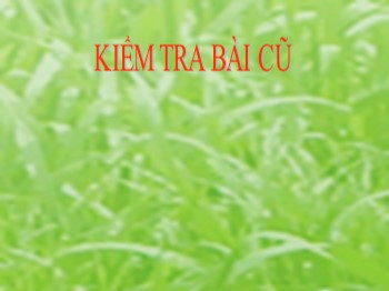 Bài giảng Đạo đức 4 - Bài 3: Biết bày tỏ ý kiến