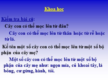 Bài giảng Khoa học 5 - Bài 57: Sự sinh sản của ếch