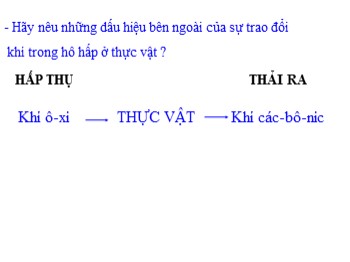 Bài giảng Khoa Học lớp 4 - Bài 65: Quan hệ thức ăn trong tự nhiên