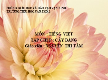 Bài giảng môn Tiếng Việt lớp 1 - Tập chép: Cây bàng - Nguyễn Thị Tám