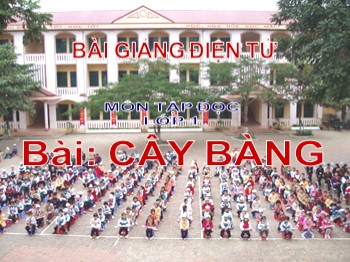 Bài giảng Tiếng Việt lớp 1 - Tập đọc: Cây bàng - Trường Tiểu học Thái Thịnh