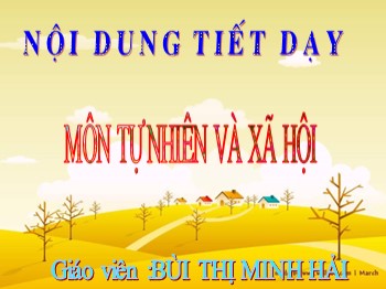 Bài giảng Tự Nhiên và Xã Hội 1 - Bài 22: Cây rau - Bùi Thị Minh Hải