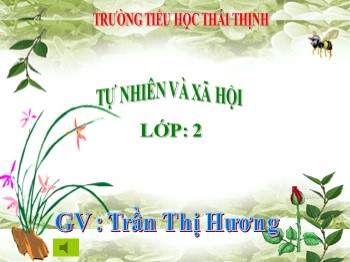 Bài giảng Tự nhiên và Xã hội lớp 2 - Bài 12: Đồ dùng trong gia đình - Trần Thị Hương