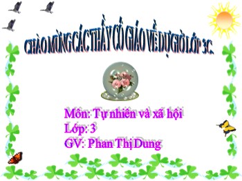 Bài giảng Tự nhiên và xã hội lớp 3 - Bài 38: Vệ sinh môi trường - Phan Thị Dung