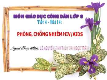 Bài giảng Giáo dục công dân 9 - Tiết 4, Bài 14: Phòng, chống nhiễm HIV/AIDS - Lê Nguyễn Minh Thùy &Mai Ngọc Trâm