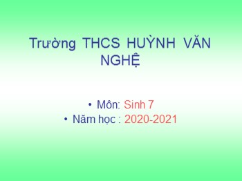 Bài giảng Sinh học 7 - Bài 38: Thằn lằn bóng đuôi dài - Năm học 2020-2021 - Trường THCS Huỳnh Văn Nghệ