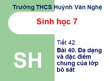 Bài giảng Sinh học Lớp 7 - Tiết 42, Bài 40: Đa dạng và đặc điểm chung của lớp bò sát - Trường THCS Huỳnh Văn Nghệ