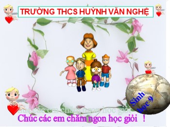 Bài giảng Sinh học Lớp 9 - Bài 48: Quần thể người - Trường THCS Huỳnh Văn Nghệ
