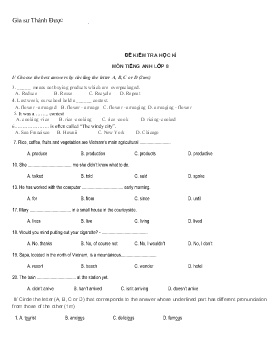 8 Đề kiểm tra học kì môn Tiếng Anh Lớp 8 (Có đáp án)