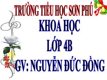 Bài giảng Khoa học Lớp 4 - Bài 21: Ba thể của nước - Năm học 2020-2021 - Nguyễn Đức Đồng