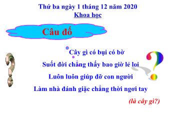 Bài giảng Khoa học Lớp 5 - Bài 22: Tre, mây, song - Năm học 2020-2021