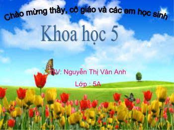 Bài giảng Khoa học Lớp 5 - Bài 51: Cơ quan sinh sản của thực vật có hoa - Năm học 2018-2019 - Nguyễn Thị Vân Anh