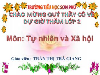 Bài giảng Tự nhiên và Xã hội Lớp 2 - Bài 11: Gia đình - Năm học 2020-2021 - Trần Thị Trà Giang